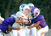 UYFA Mighty Mites - Raiders vs. Vikings 9-13