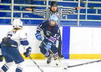 17-Burch