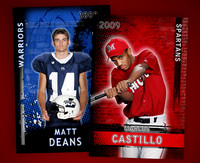 12x18 "Portrait" Poster w/Graphics - $40
