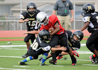 2014 UYFA 5th GRADE RED FB & CRIMSON CHEER