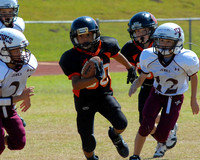 2010 Coweta White 3rd Grade Football